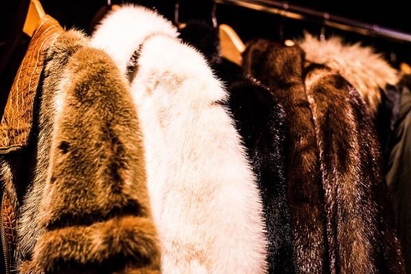 Closeup of fur coats hanging on a rack