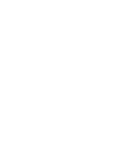 Transparent Fox