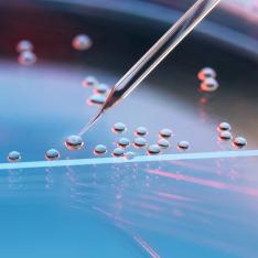 Longevity & Healthspan