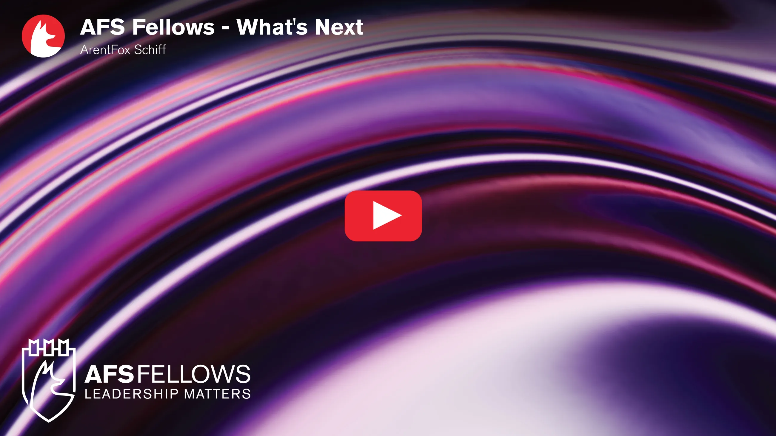 AFS Fellows What's Next