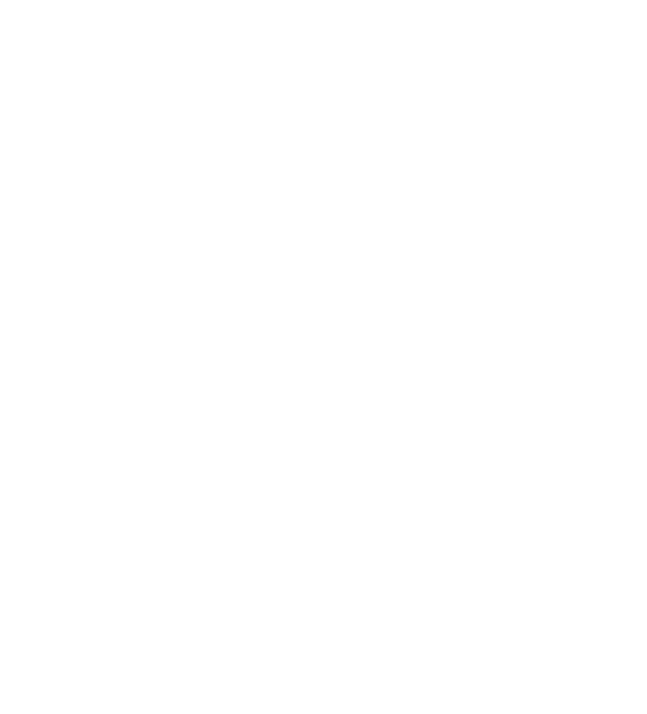 Transparent Fox